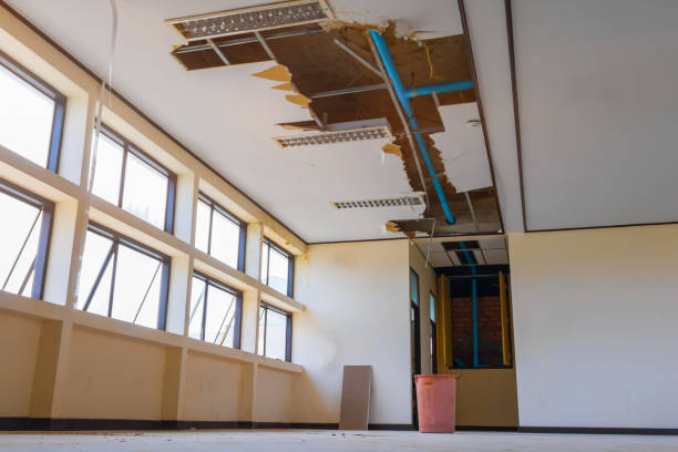 Best Water damage restoration insurance claims  in Highland Falls, NY