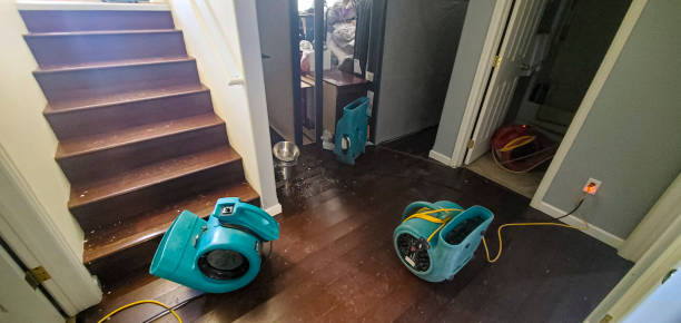 Best 24-hour water damage restoration  in Highland Falls, NY