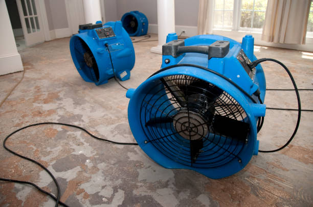 Trusted Highland Falls, NY Water damage restoration Experts